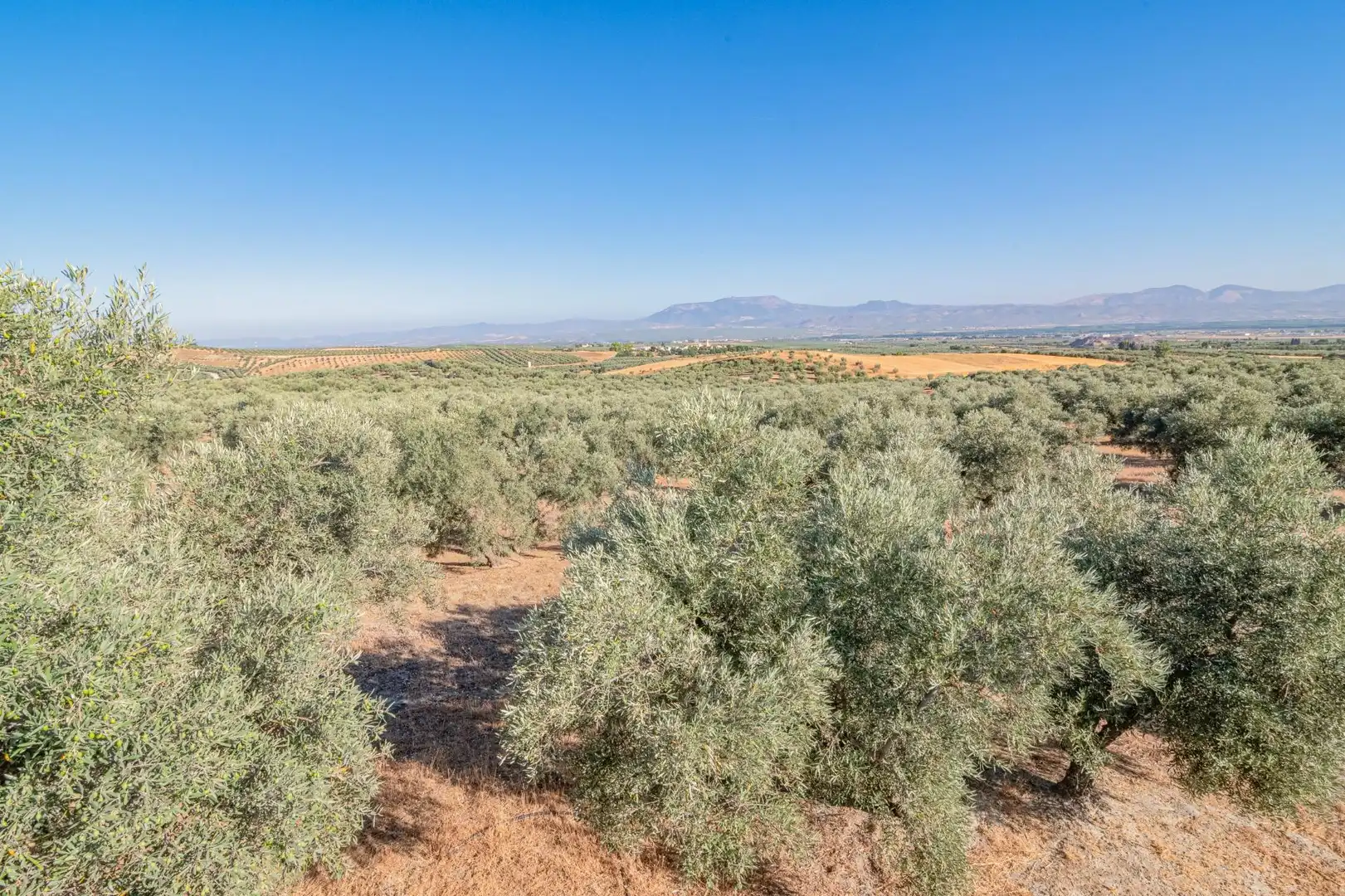Apartments for sale in Santa Fe