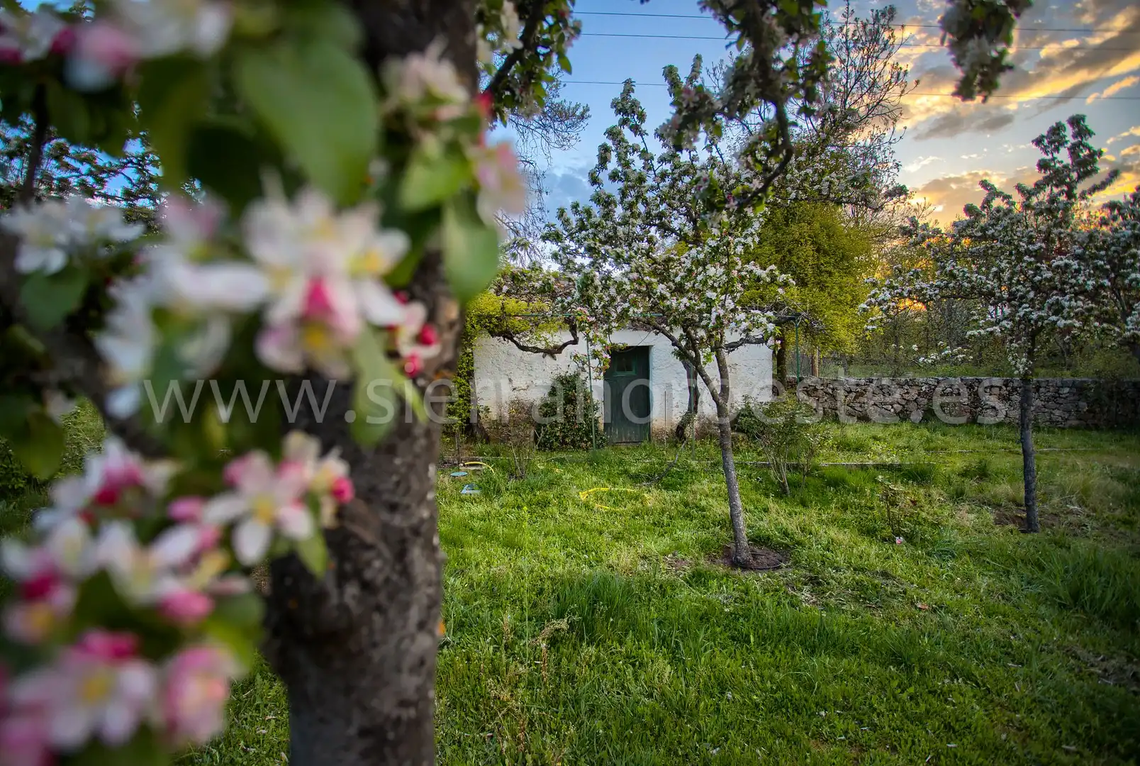 Casa o chalet en venta en Puerto de Galapagar - Las Cuestas
