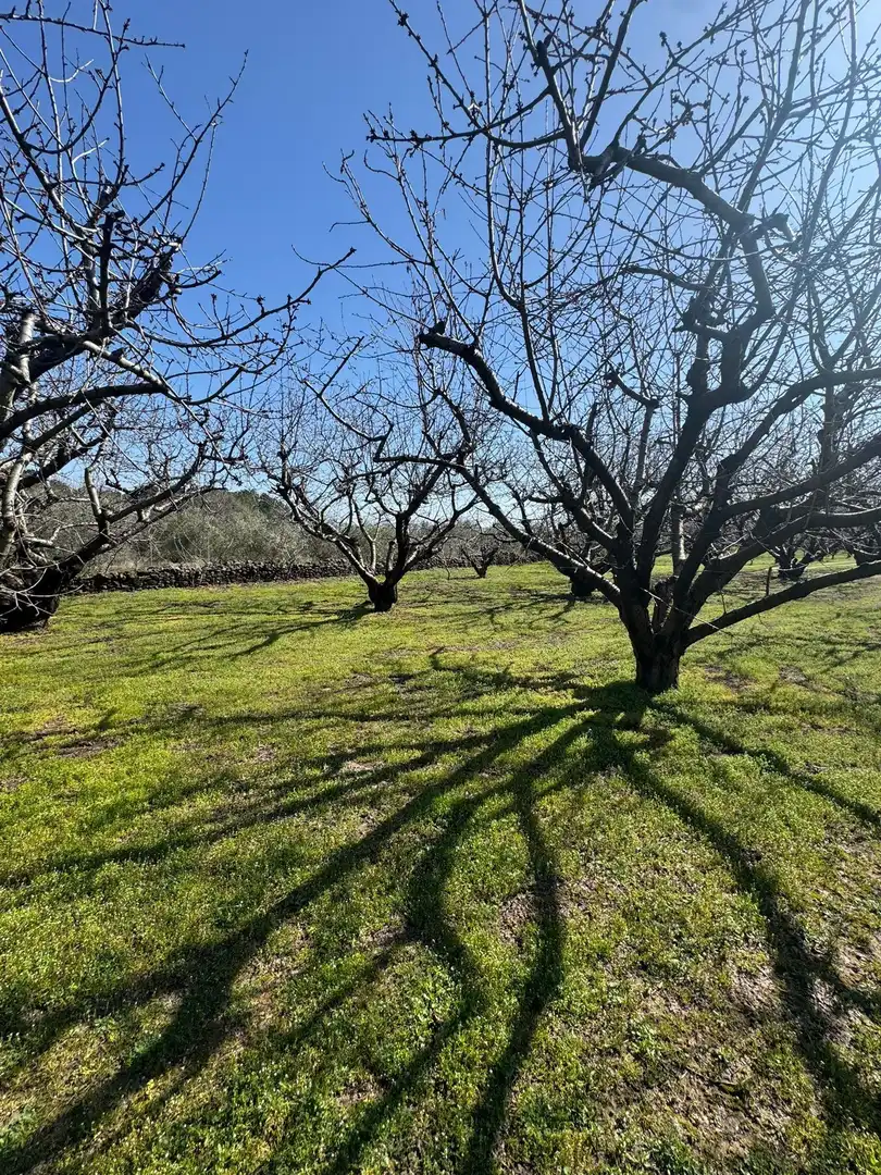 Finca rústica en venda en Garganta la Olla