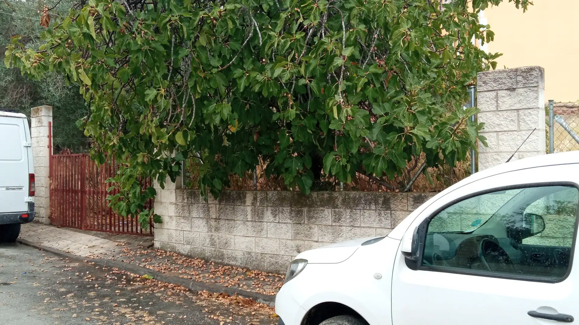 Terreni e lotti in vendita a Calle Matalasganas, imagen 3