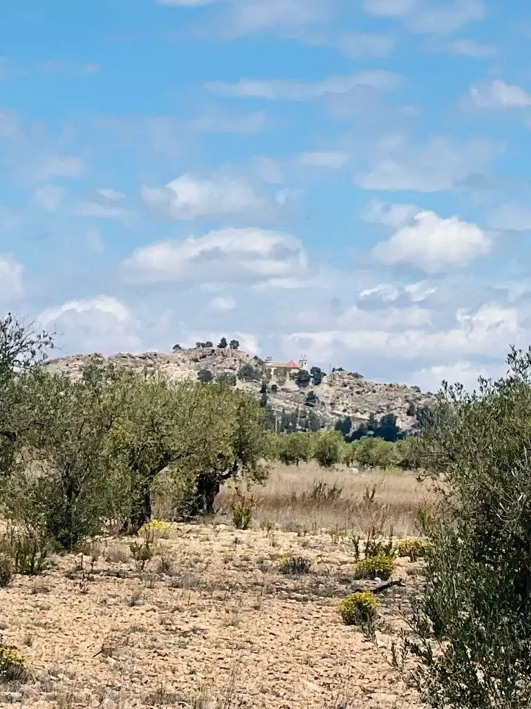 Terreni e lotti in vendita a Camino PARAJE LOS QUIÑONES