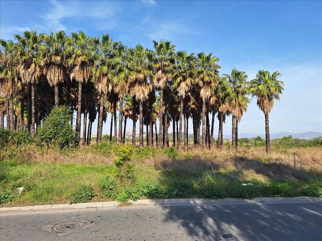 Terreno en Venta en Playa del Puig