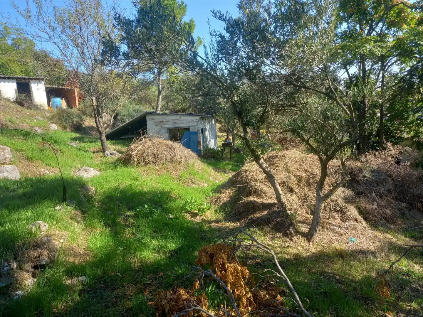 Casa o xalet en venda en Ambite amb Piscina