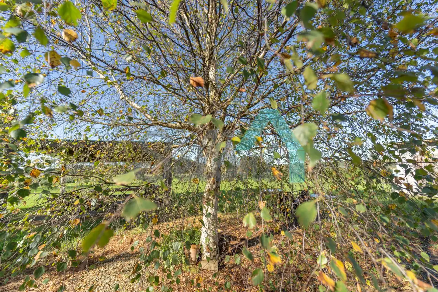 Grundstücke und Bauplätze zum Verkauf in Las Campas, imagen 49