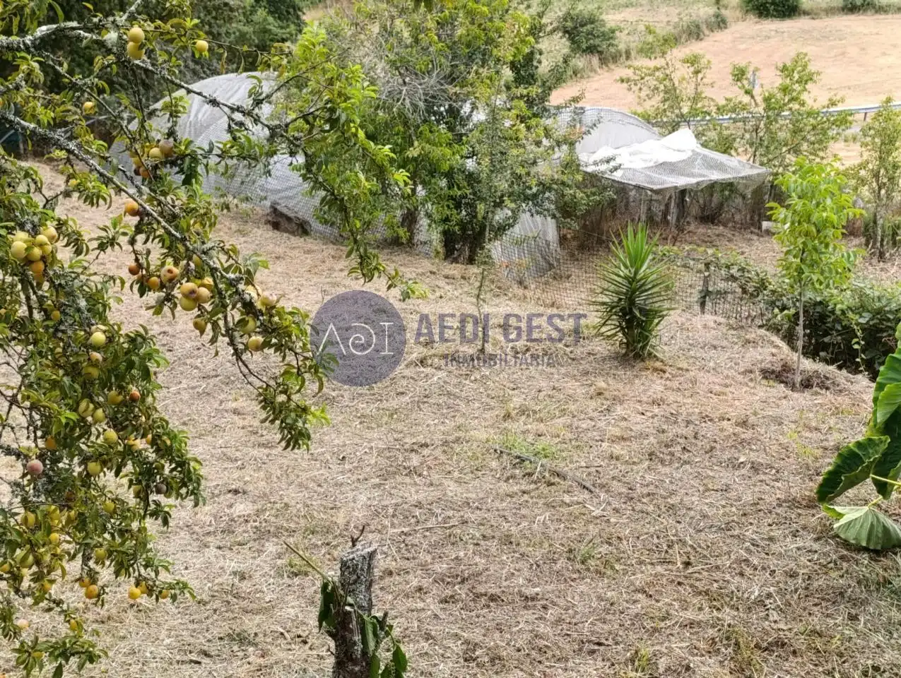 Maison avec jardin à vendre à Lugar Os Muros, imagen 2