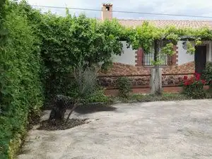 Jardín de Terreno en venta en Piedrabuena