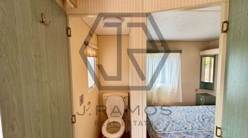 Foto 4 de Casa o xalet de lloguer a Trasera Arroyo de Cajiz, Camino Viejo de Málaga, Vélez-Málaga