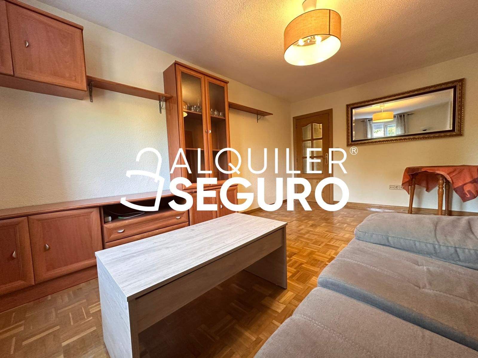 Living room of Flat to rent in  Madrid Capital  with Heating and Furnished