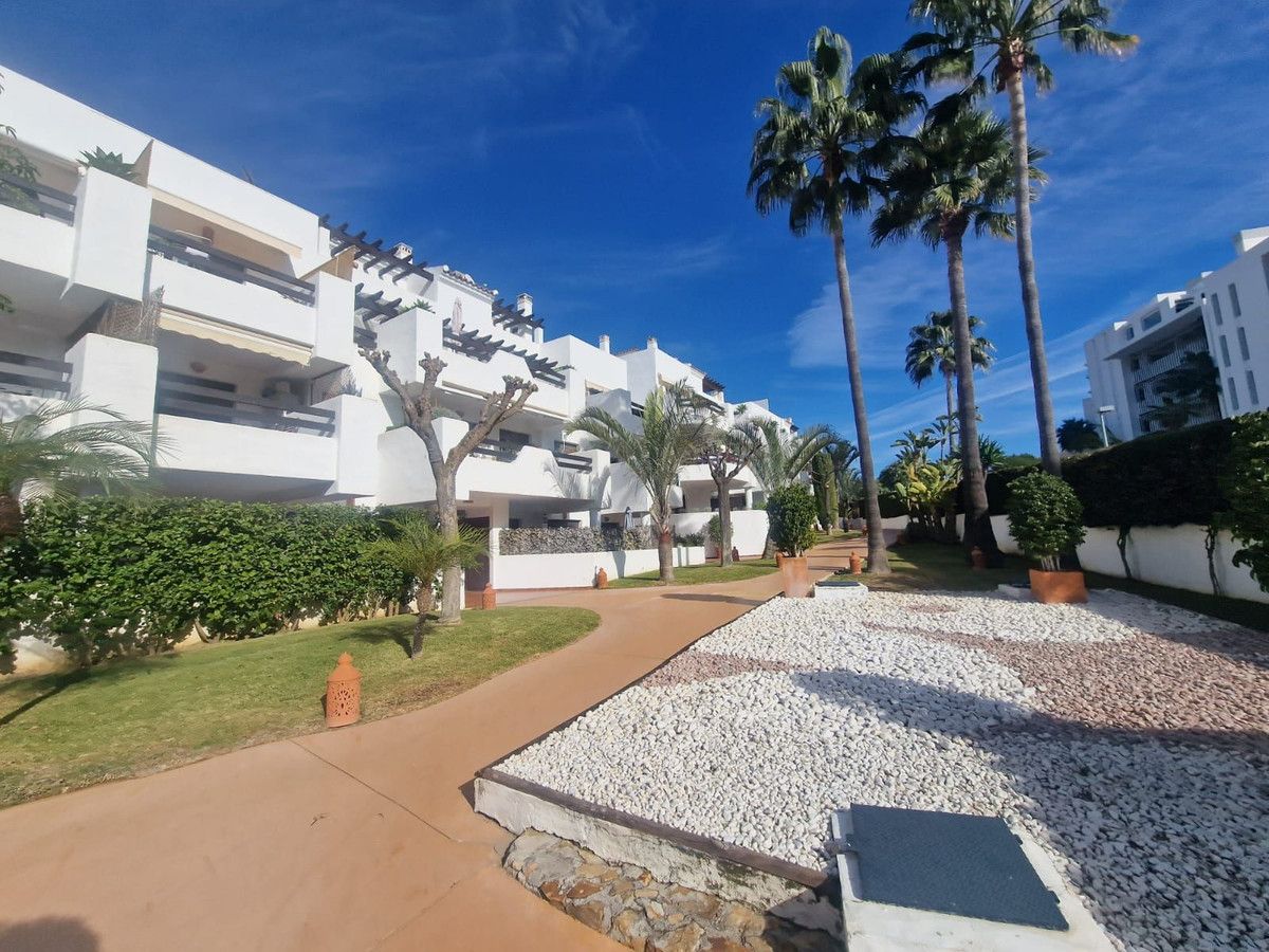 Vista exterior de Apartamento en venta en Estepona con Terraza, Trastero y Piscina comunitaria