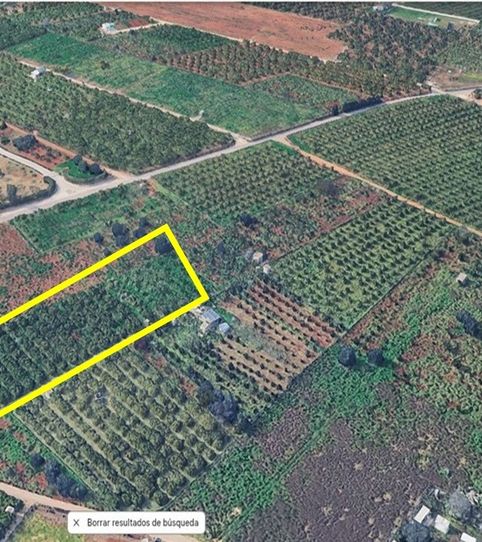 Foto 2 de Residencial en venta en El Palmar - Los Molinos, Dénia