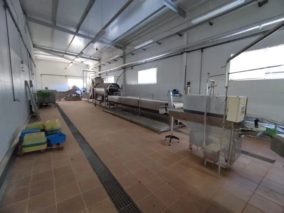 Küche von Fabrikhallen zum Verkauf in Montehermoso