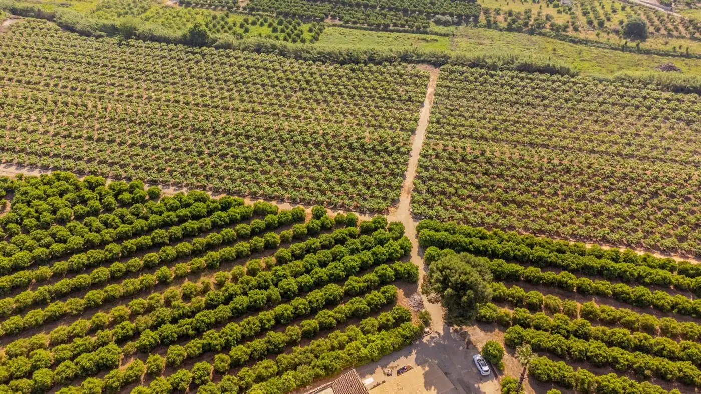 Finca rústica en venda en L'Énova amb Terrassa, Traster i Alarma