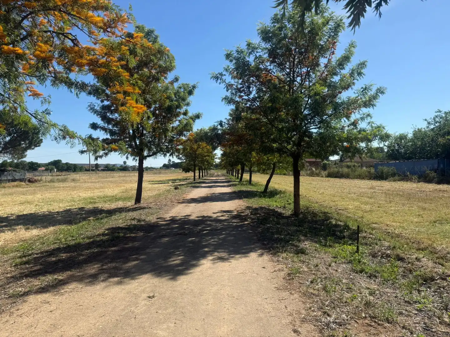 Houses for sale in Mérida