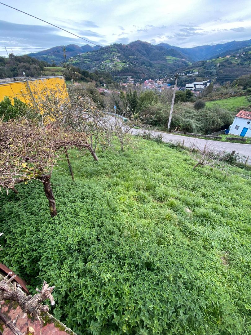 House or chalet for sale in Langreo  with Private garden