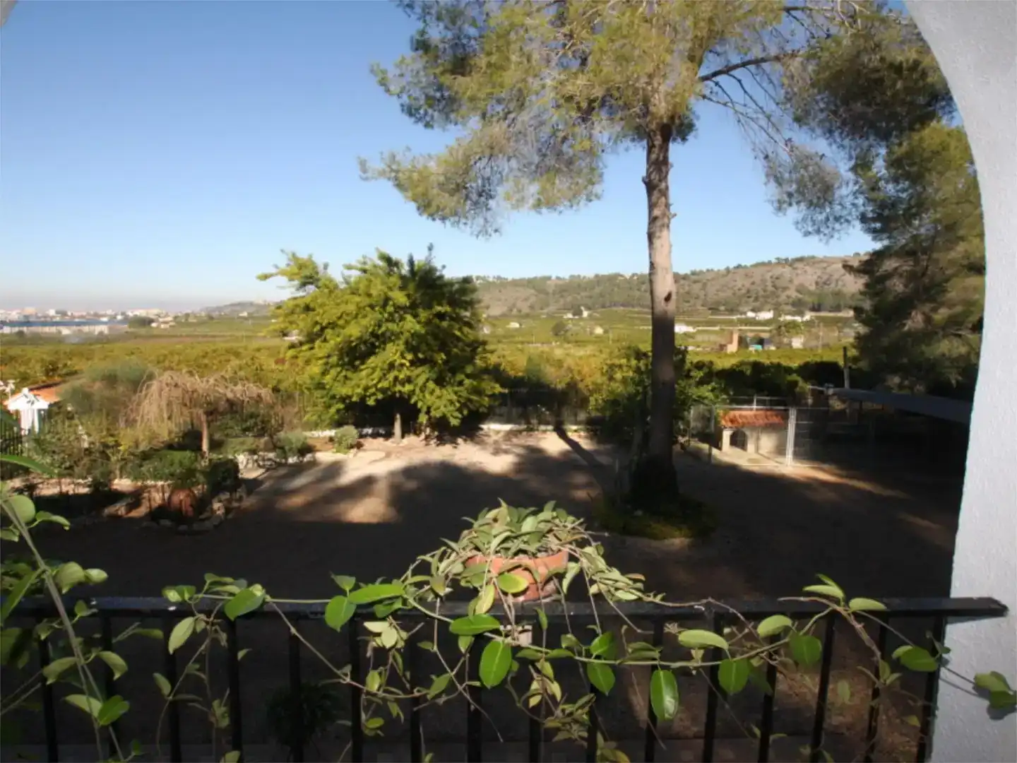Jardí de Casa o xalet en venda en Alzira amb Aire condicionat, Piscina i Balcó
