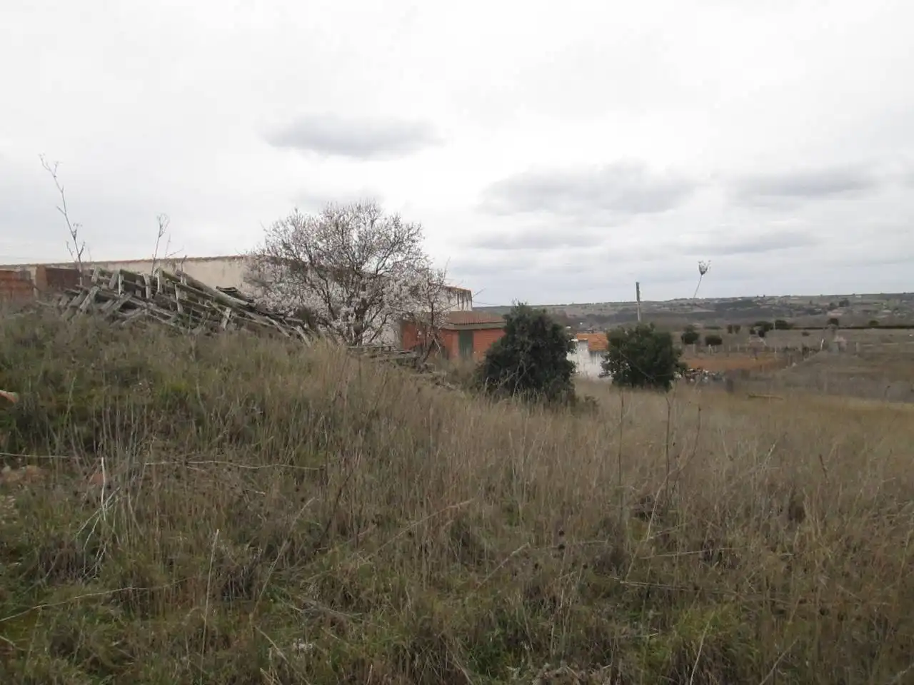 Terreni e lotti in vendita a Pinilla, imagen 2