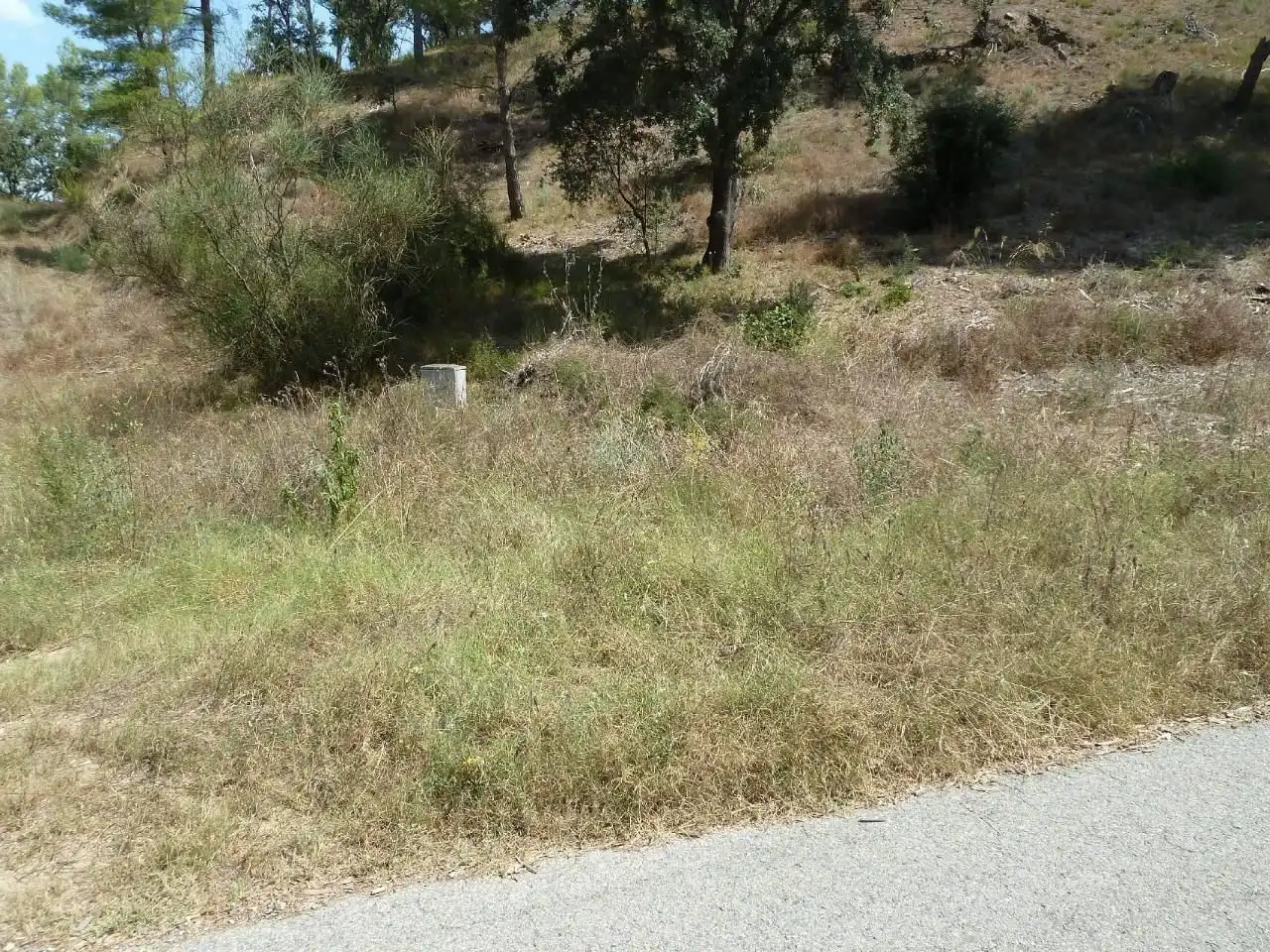 Terreni e lotti in vendita a Riudecanyes, imagen 31