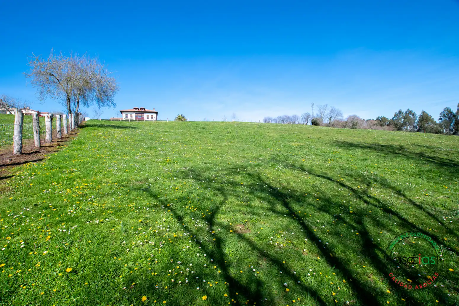 Terreno rustico in vendita a Cabranes - Naveda, imagen 33