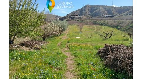 Foto 4 von Haus oder Chalet zum Verkauf in La Peza, Granada