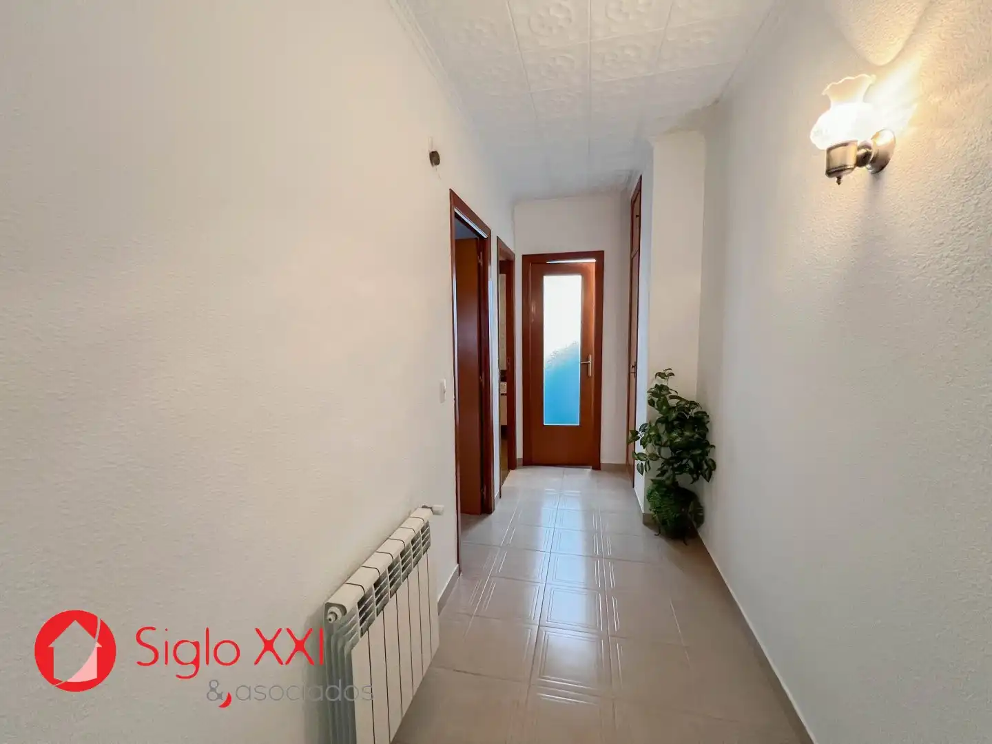 House with terrace for sale in El Pilar, imagen 29
