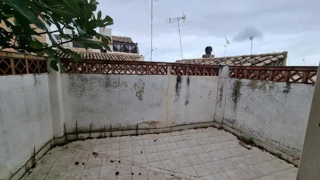 Garten von Gebäude zum Verkauf in Torredelcampo
