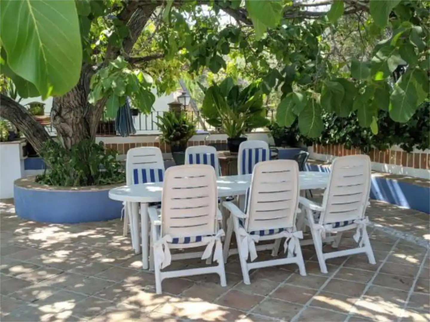 Terraza de Casa o chalet en venta en Baena con Piscina