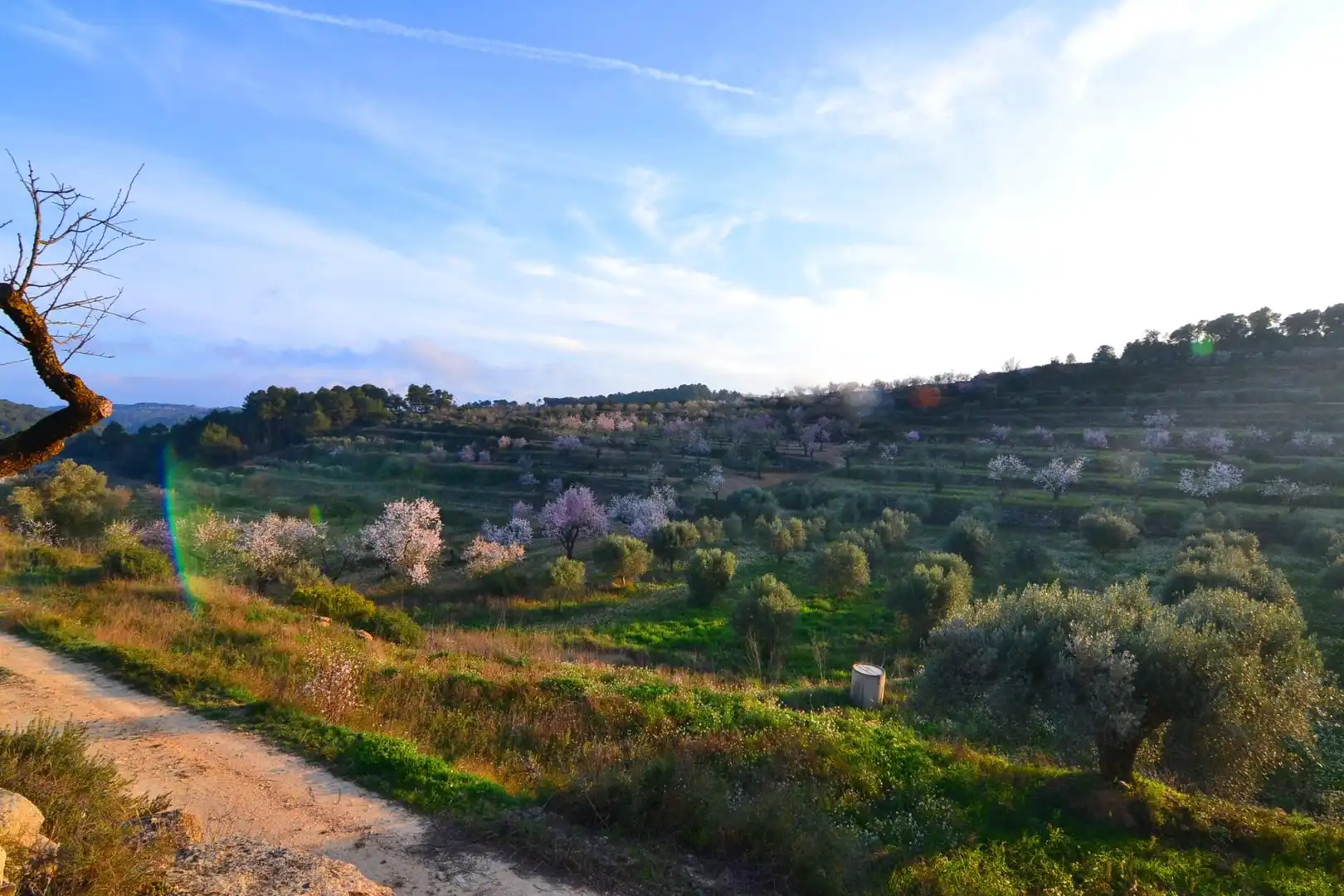 Rural land for sale in Corbera d'Ebre, imagen 79