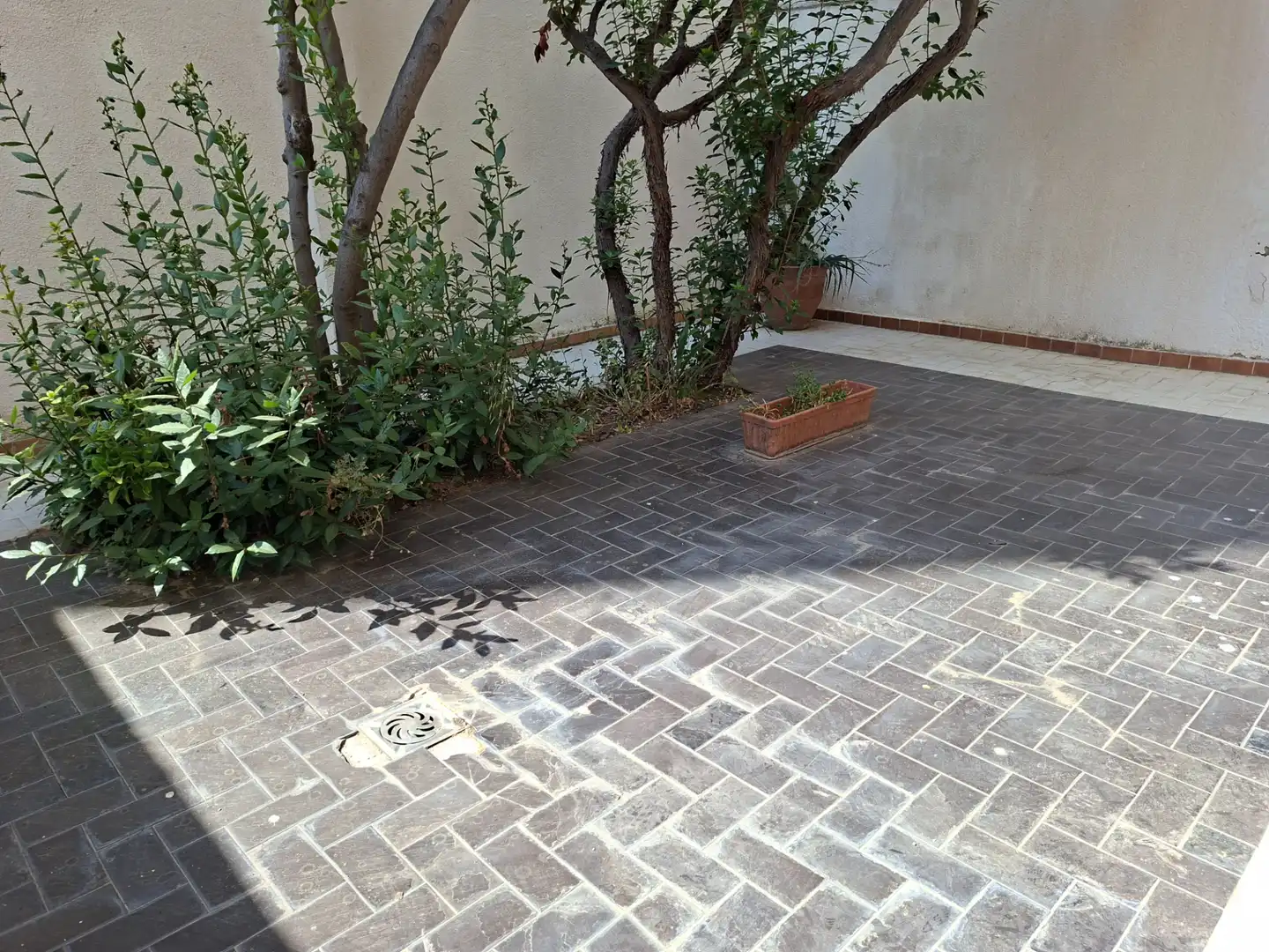 Local comercial de lloguer a Carrer de Jovara 18, imagen 15