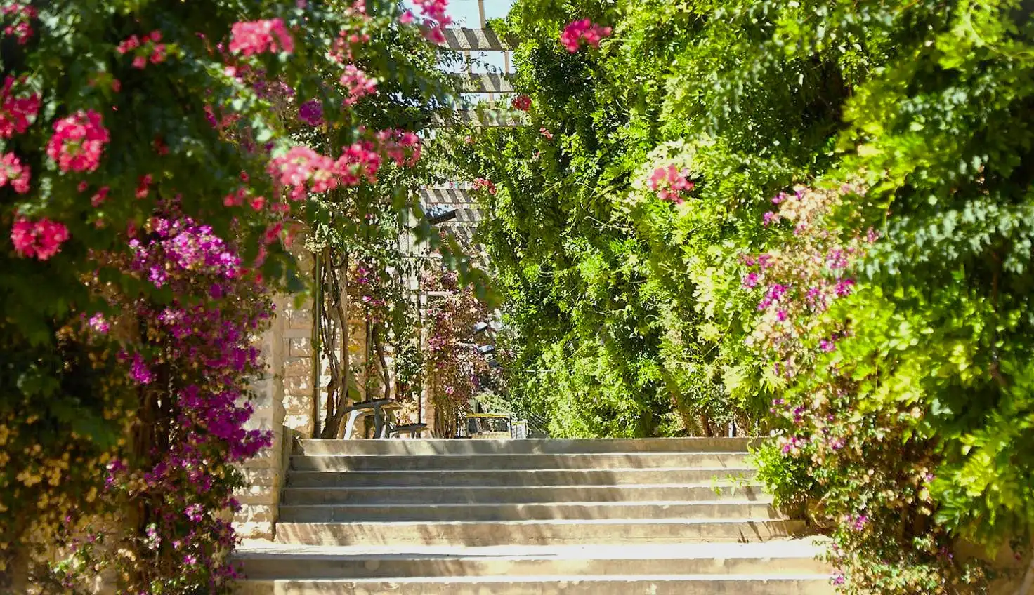 Piso con terraza en venta en Carrer de Sant Baltasar, imagen 62
