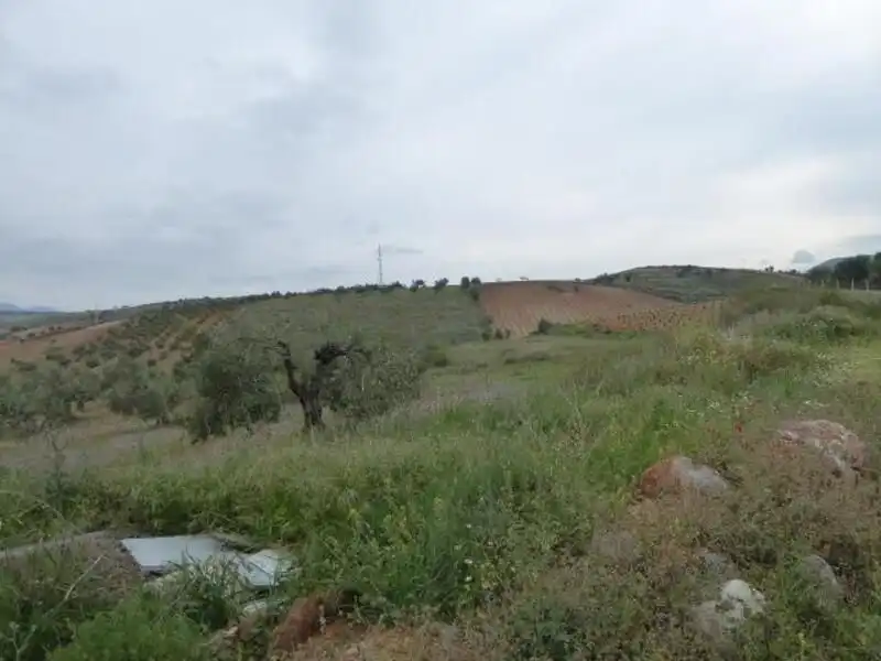 Terrenos y solares en venta en P.P. DEL SUELO URBANIZABLE SUR- LOMA DEL CERRAJON,, imagen 16