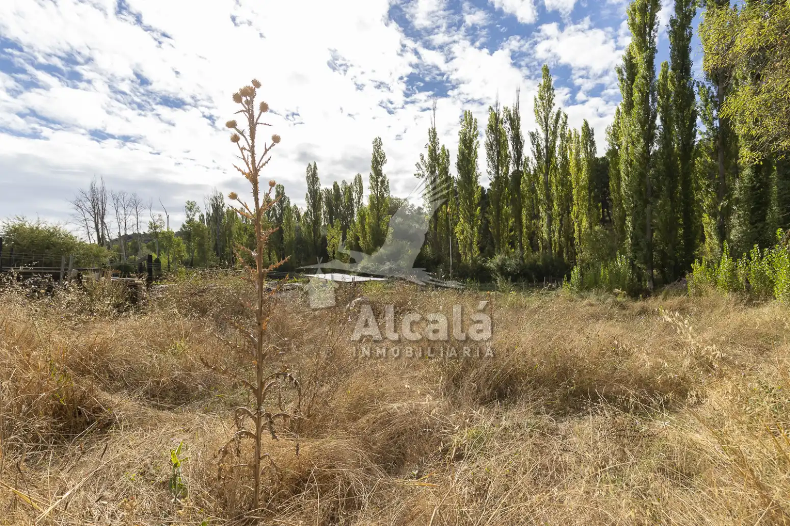 Terreno en venta en Hueva