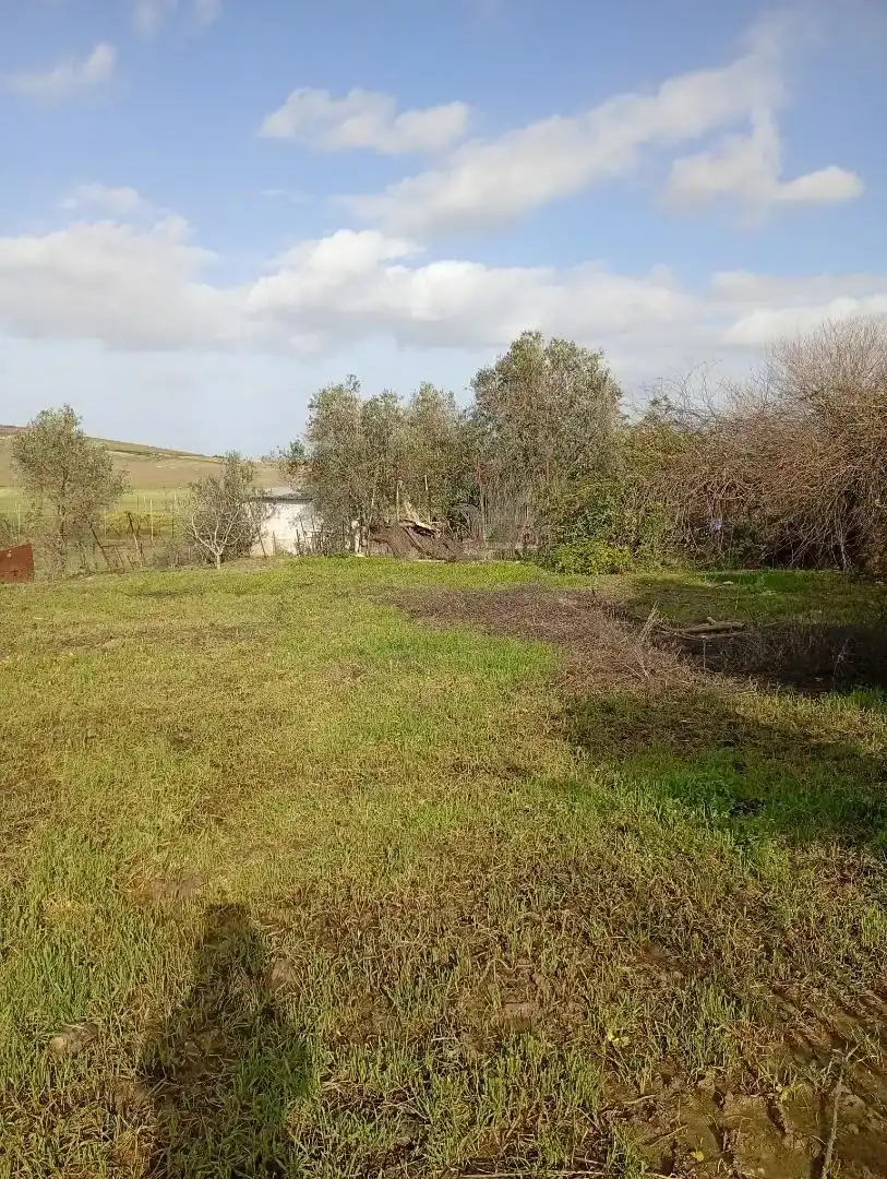 Houses for sale in Lebrija  with Private garden, Storage room and Swimming Pool