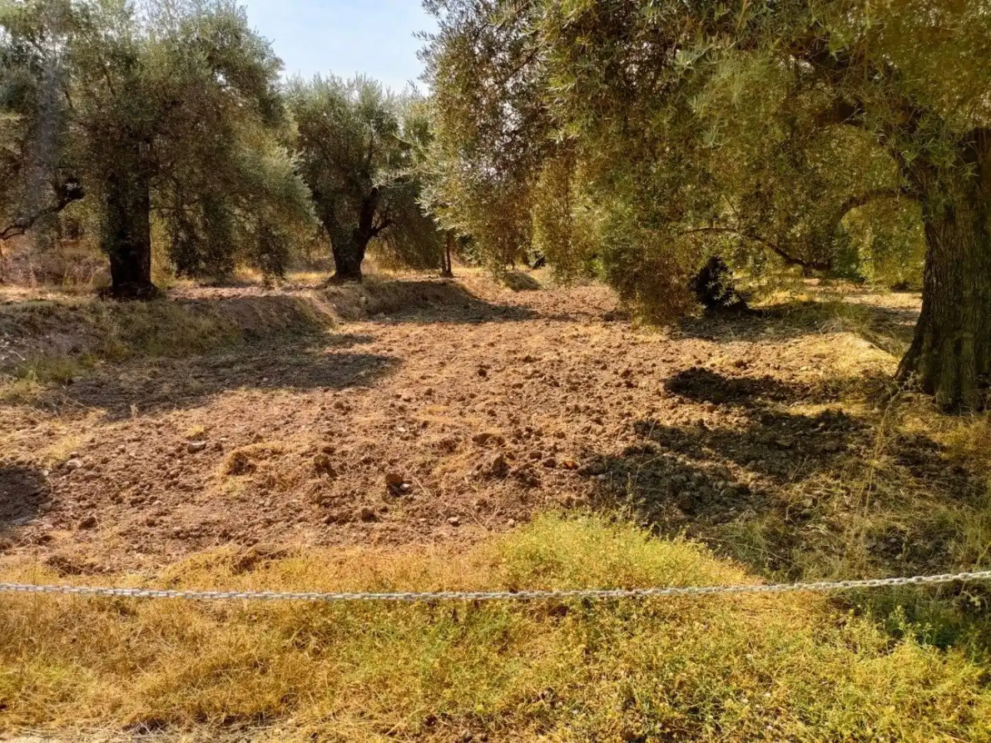 Grundstücke und Bauplätze zum Verkauf in Ugíjar, imagen 5