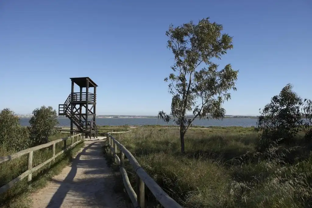Àtic amb piscina en venda a San Miguel de Salinas, imagen 10