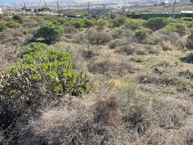 Land for sale in Telde
