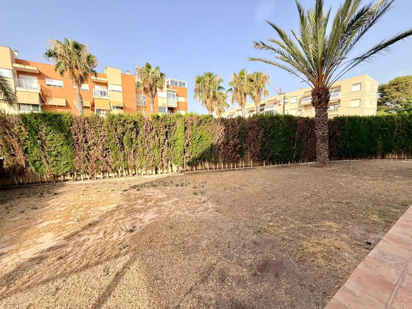 Jardí de Casa o xalet en venda en El Campello