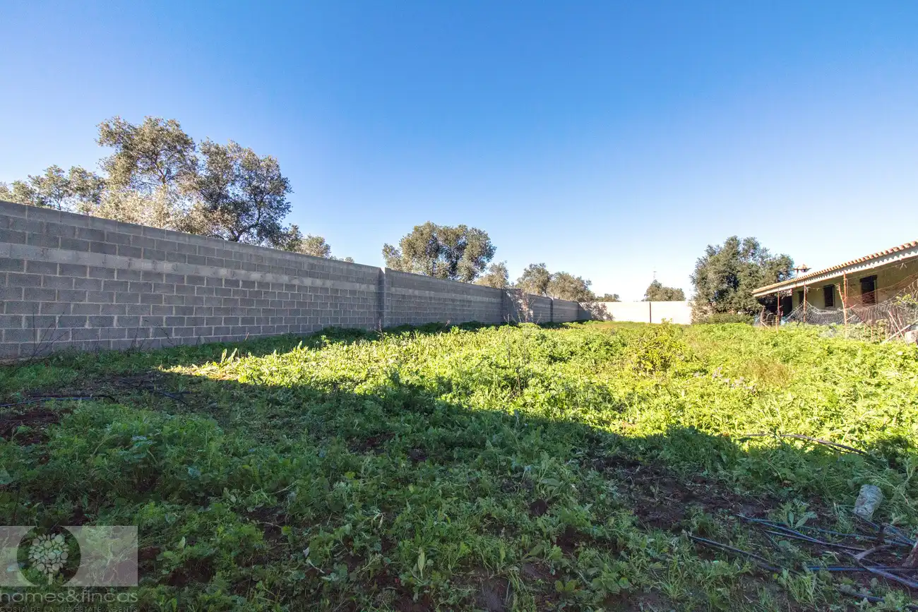 Finca rústica en venta en Trigueros