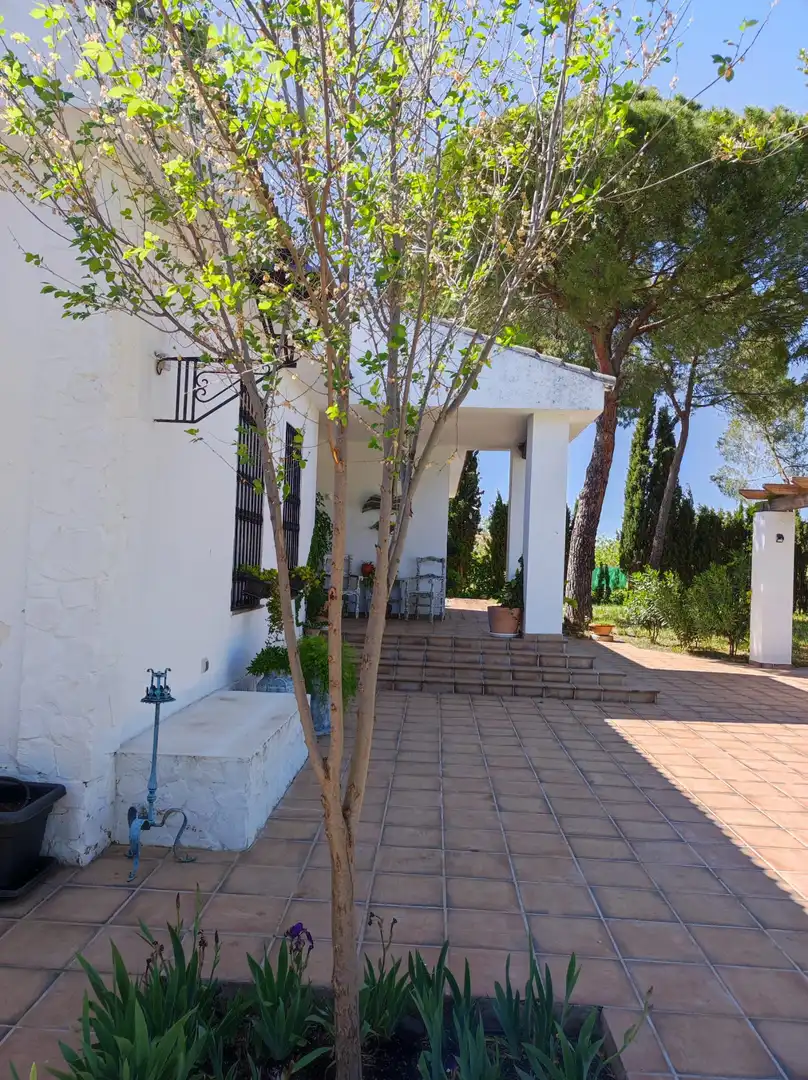 Jardín de Casa o chalet en venta en Ciudad Real con Aire acondicionado, Calefacción y Jardín privado