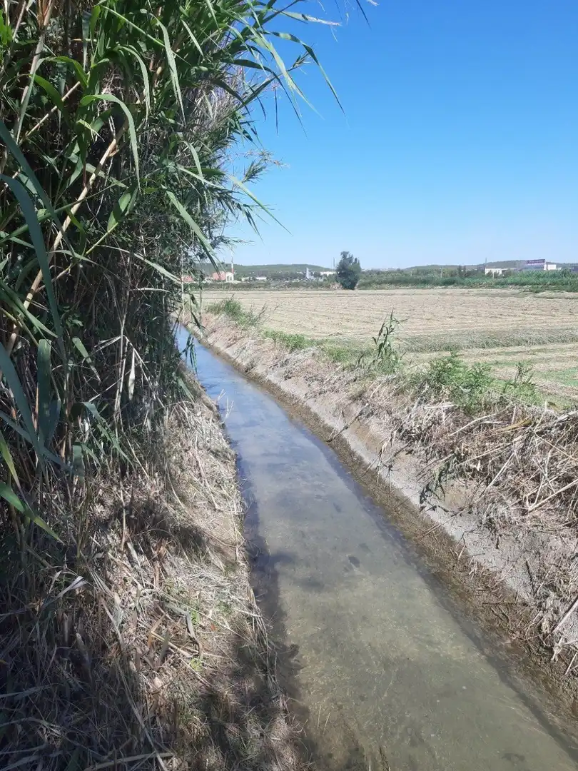 Außenansicht von Grundstücke zum Verkauf in Zaragoza