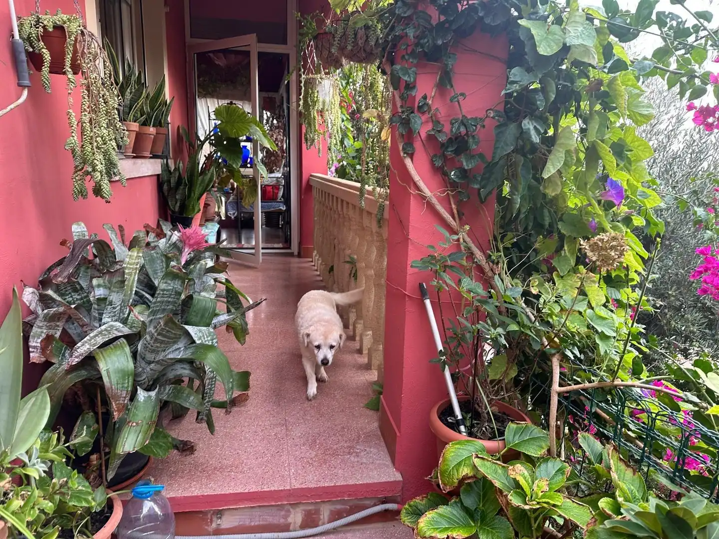 Villa zum Verkauf in Los Collados-Los Geraneos, imagen 19