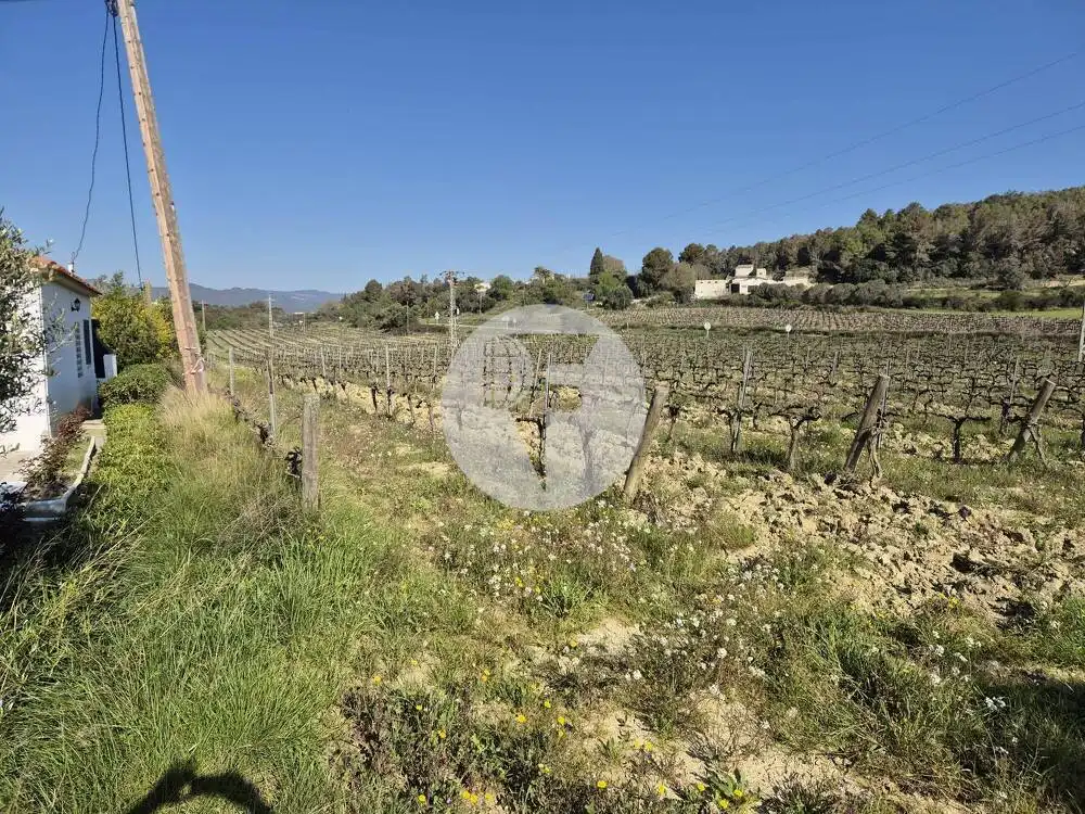 Casa rústica en venda a Sant Martí Sarroca, imagen 15
