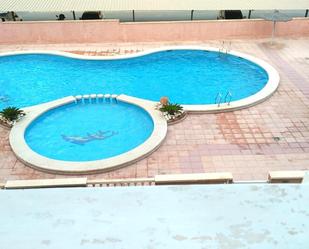 Swimming pool of Apartment to rent in Elche / Elx  with Terrace and Balcony