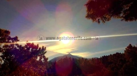 Foto 3 de Finca rústica en venda a La Vega - El Amparo - Cueva del Viento, Santa Cruz de Tenerife