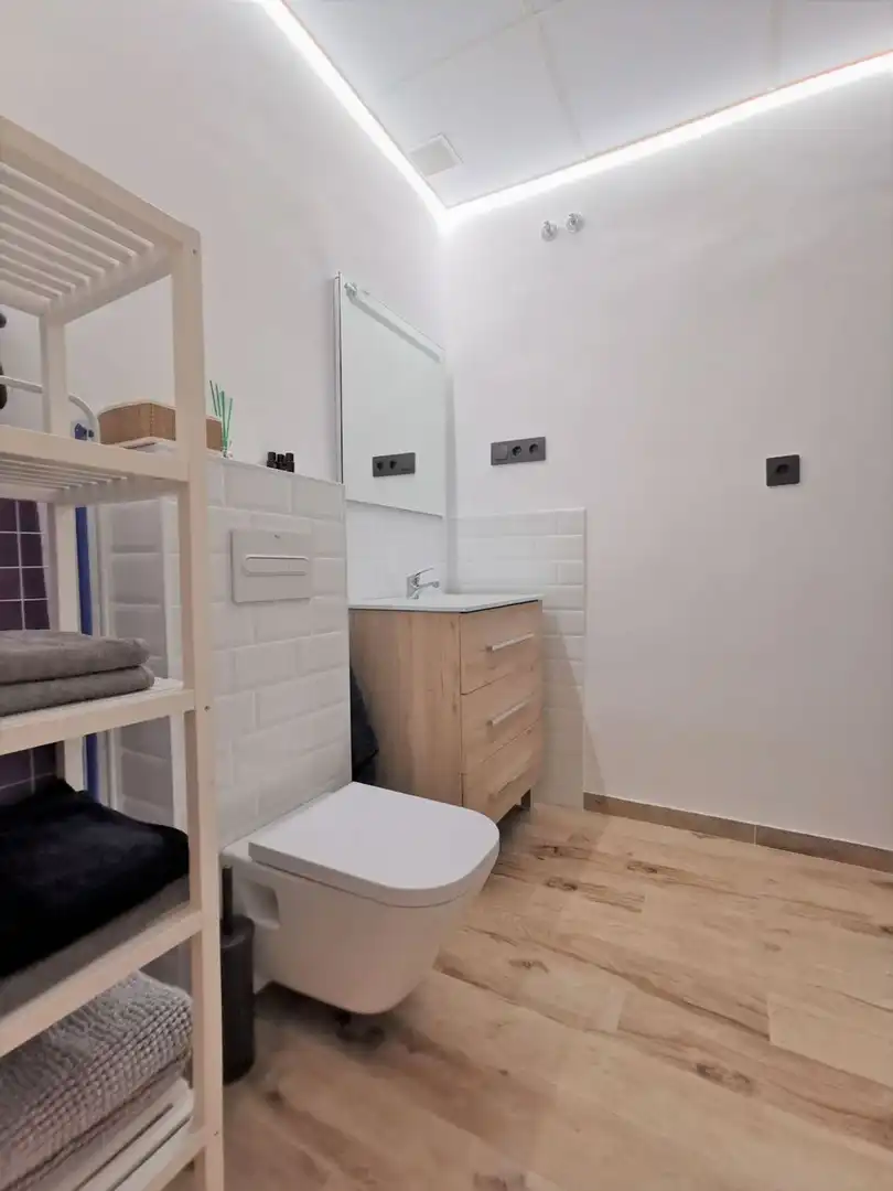 Badezimmer von Wohnungen zur Miete in Madrid mit Klimaanlage