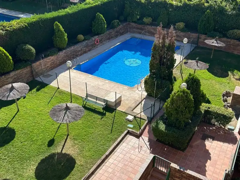 Swimming pool of Attic for sale in Golf - El Carralero