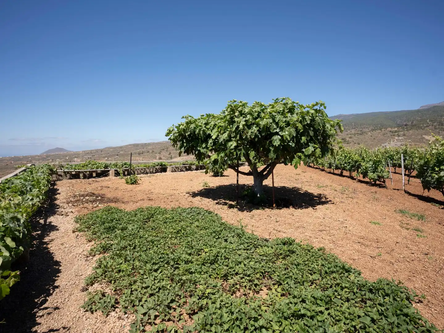 Terreno rustico in vendita a N/A, imagen 24
