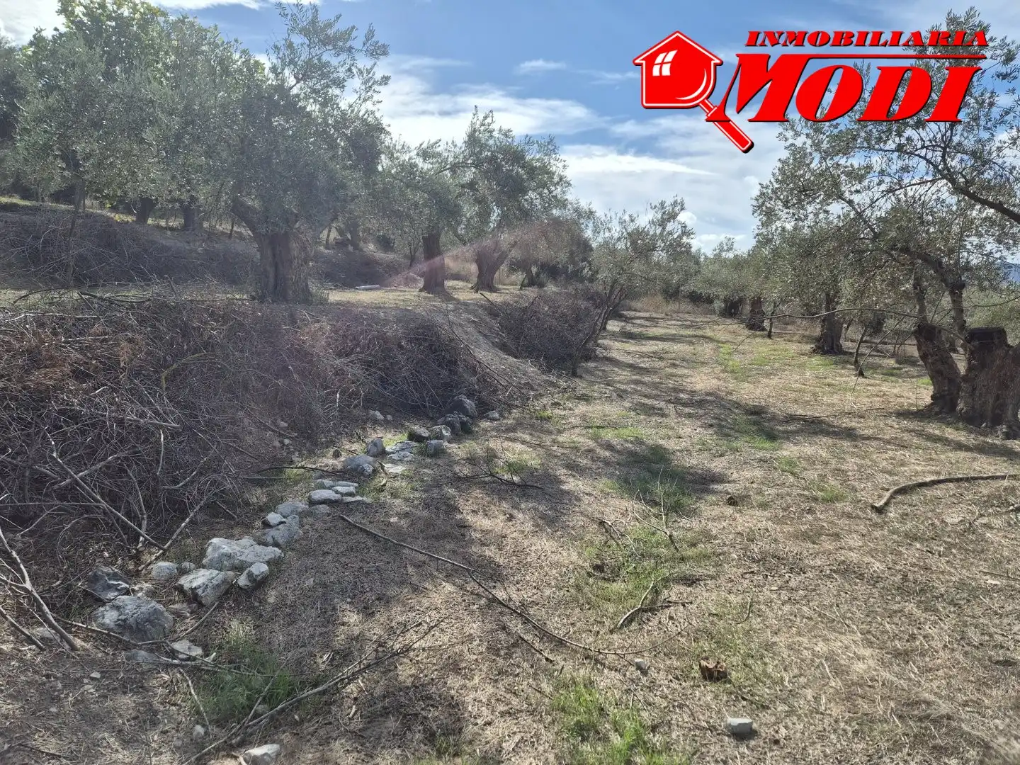 Lands and plots for sale in Dúrcal, imagen 14