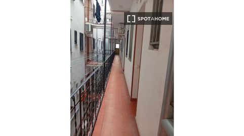 Foto 5 de Habitació a Palos de Moguer, Madrid Capital