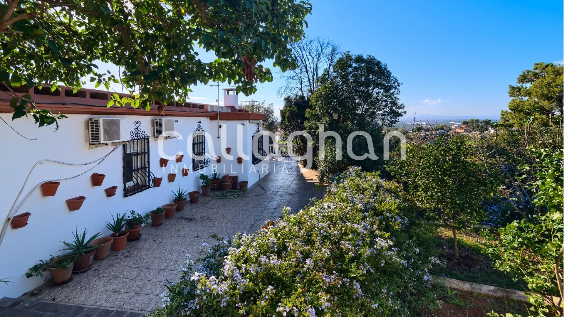 Vista exterior de Casa o chalet en venta en Alzira con Aire acondicionado, Calefacción y Jardín privado
