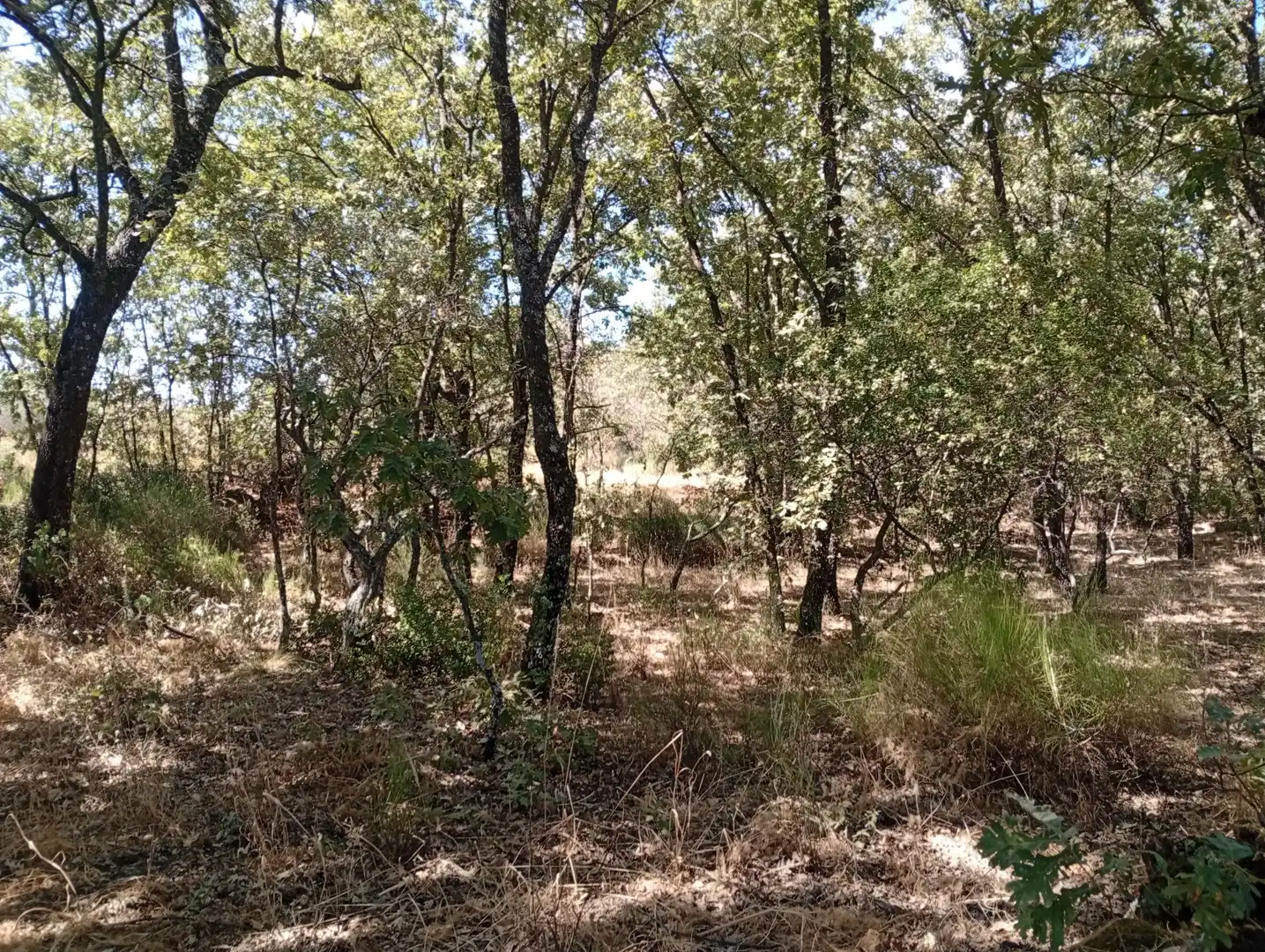 Terreni e lotti in vendita a Villanueva de la Vera, imagen 37